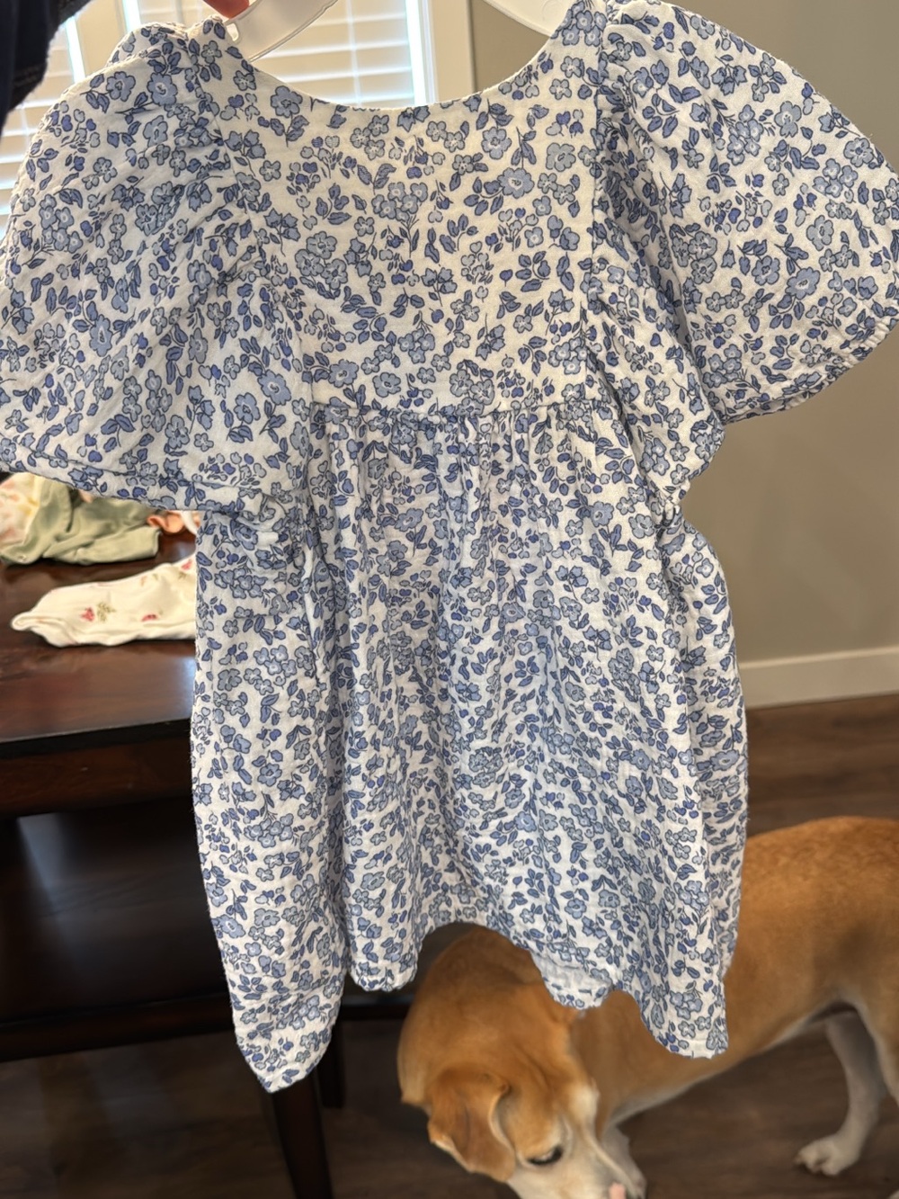 NWOT H&M White Dress with Blue Floral Pattern - Girls